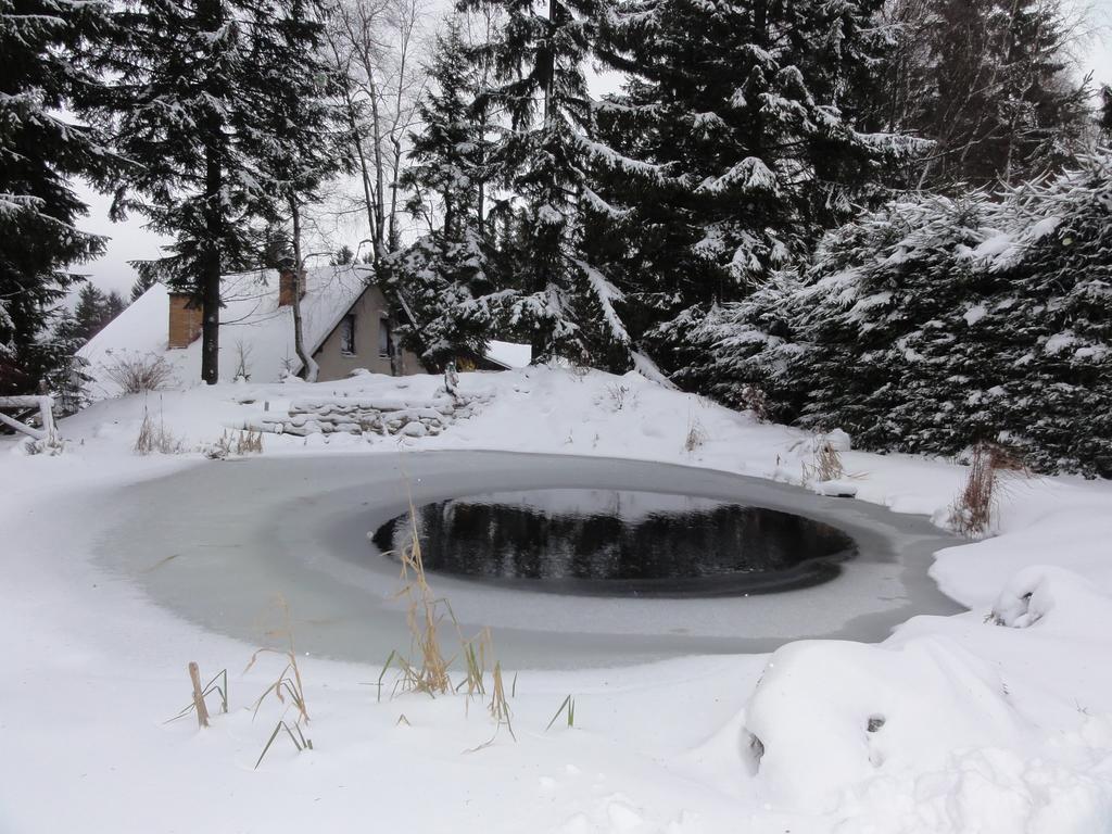 Hotel Pavla Vysocina Nove Mesto na Morave Kültér fotó