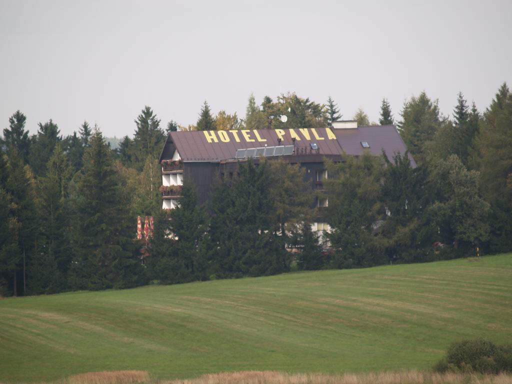 Hotel Pavla Vysocina Nove Mesto na Morave Kültér fotó