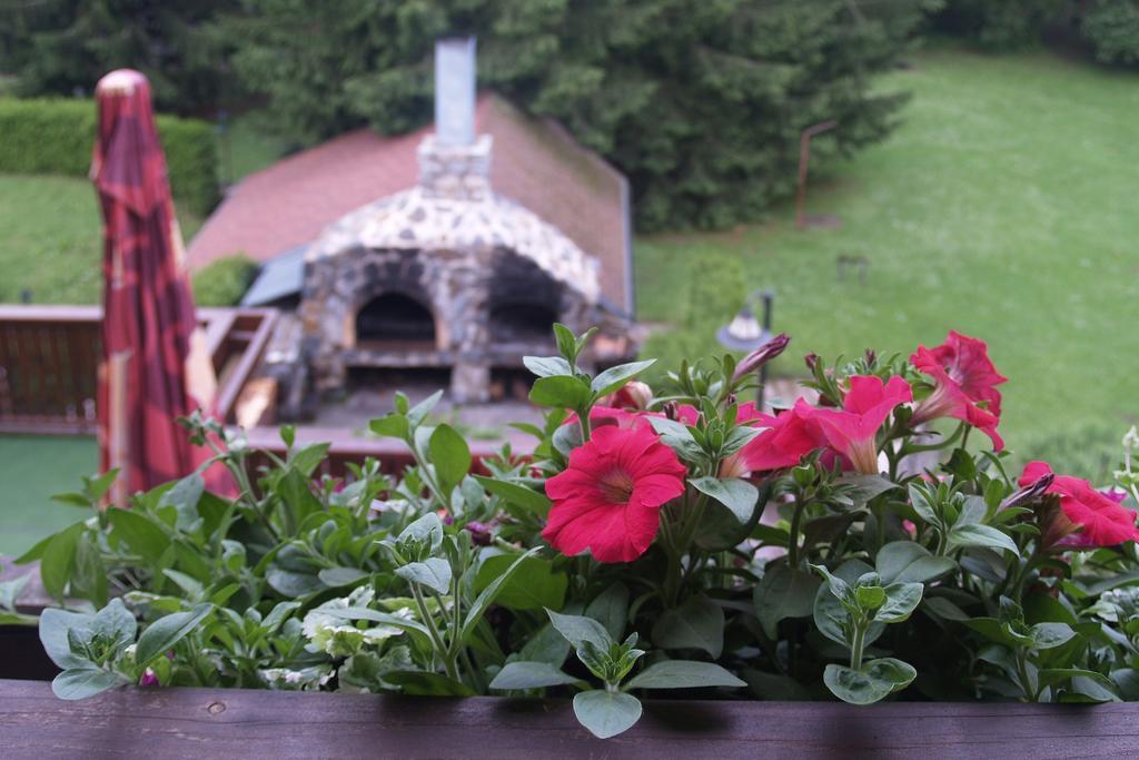 Hotel Pavla Vysocina Nove Mesto na Morave Szoba fotó